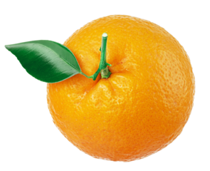 Orange fruit with orange leaves isolated. Png transparency