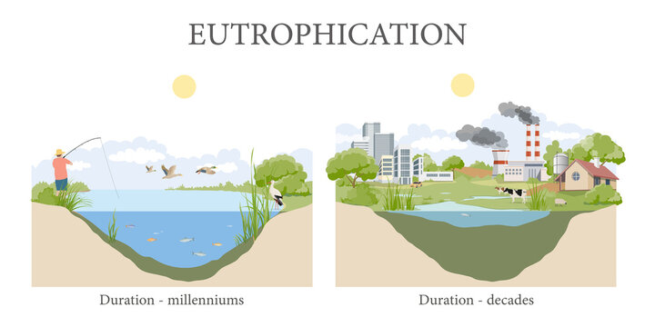 Water eutrophication and its effects