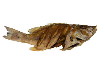 die cut of fried fish PNG file 