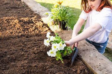a cute little girl in a white t-shirt is planting beautiful flowers in her garden.
