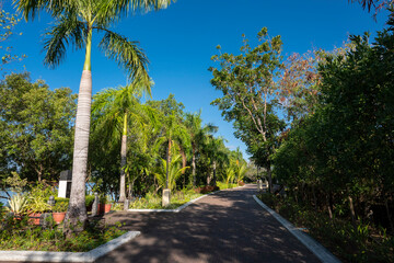 Fototapeta premium The riverside boulevard along the Iloilo River, popular with joggers.