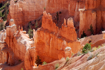 sandstone hoodos in amphitheater in Bryce Canyon National Park, Utah