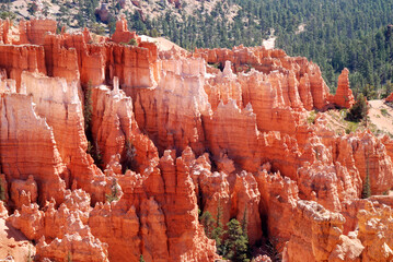 sandstone hoodos in amphitheater in Bryce Canyon National Park, Utah