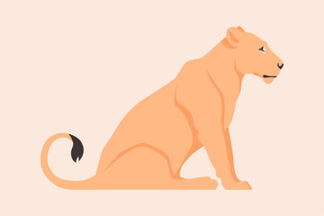 Flat vector illustration of a sitting lioness