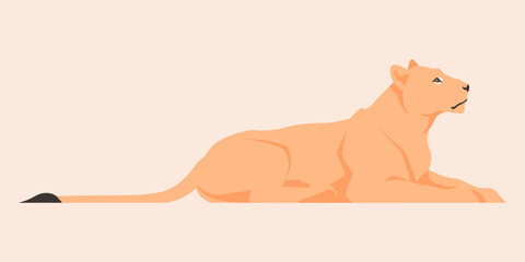 Flat vector illustration of a lying lioness