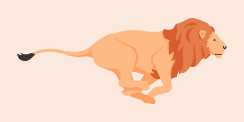Flat vector illustration of a running lion