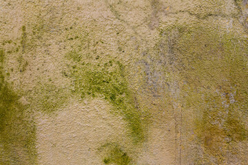 stone grunge background wall texture