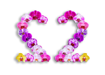 The shape of the number 22 is made of various kinds of orchid flowers. suitable for birthday, anniversary and memorial day templates