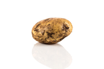 Dirty potato isolated on white background.
