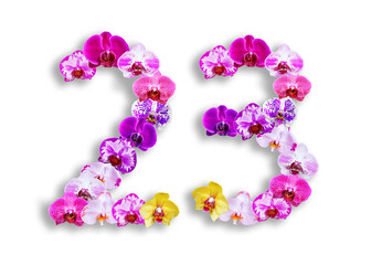 The shape of the number 23 is made of various kinds of orchid flowers. suitable for birthday, anniversary and memorial day templates