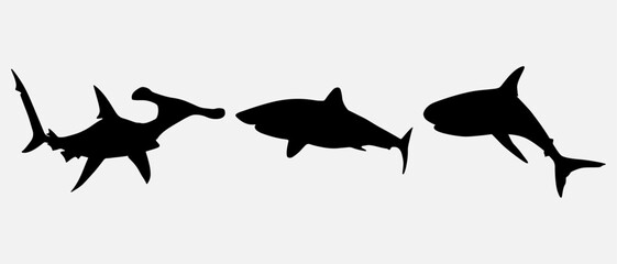 isolated black silhouette of a shark, vector collection