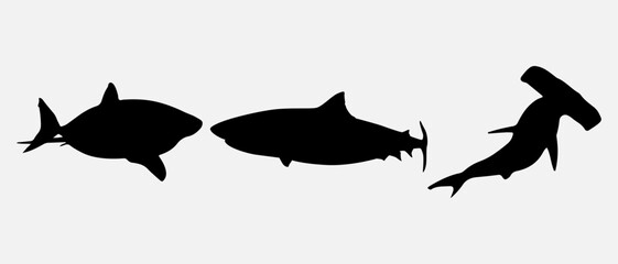 isolated black silhouette of a shark, vector collection