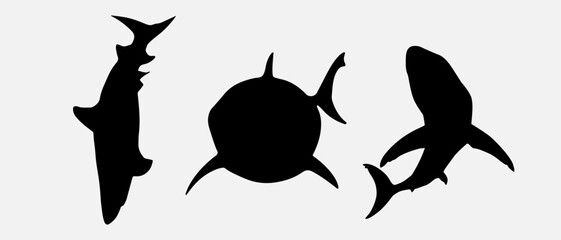 Obraz premium isolated black silhouette of a shark, vector collection