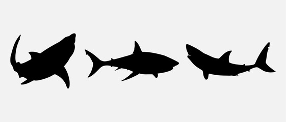 isolated black silhouette of a shark, vector collection