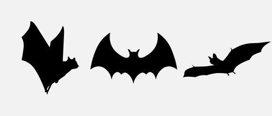 isolated black silhouette of a bat, vector collection