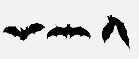 isolated black silhouette of a bat, vector collection