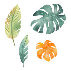 Fototapeta na wymiar set of watercolour tropical leaves isolated on white background.