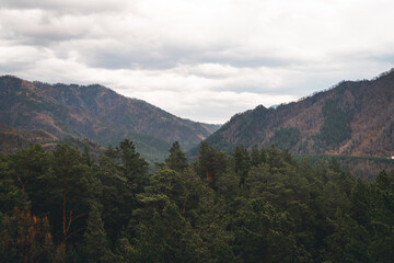 view of the mountains in autumn