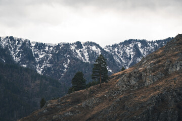 landscape in the mountains
