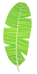 3d illustration of stylized banana leaf isolated.