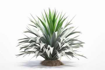 Plant with white background. Generative AI