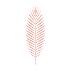 Pink tropical fern botanical elegant floristic decor element premium design 3d icon realistic vector