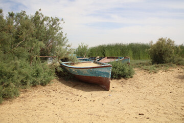 Fototapeta na wymiar grass, boats, sand, and cloudy weather