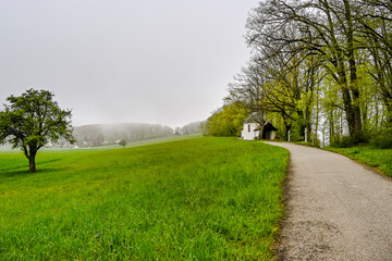 Mariastein, Kapelle, St. Anna-Kapelle, Kloster, Kloster Mariastein, Wallfahrt, Dorf, Wanderweg, Landwirtschaft, Felder, Frühling, Morgennebel, Schweiz