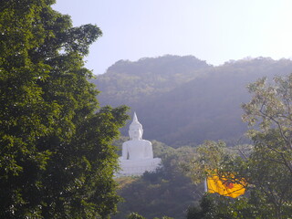 Image of the big white Buddha image in the middle of the valley in the big forest