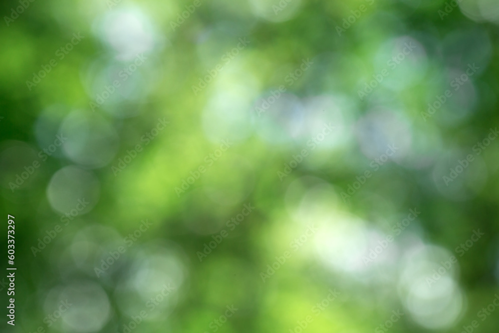 Wall mural green bokeh background and sunlight