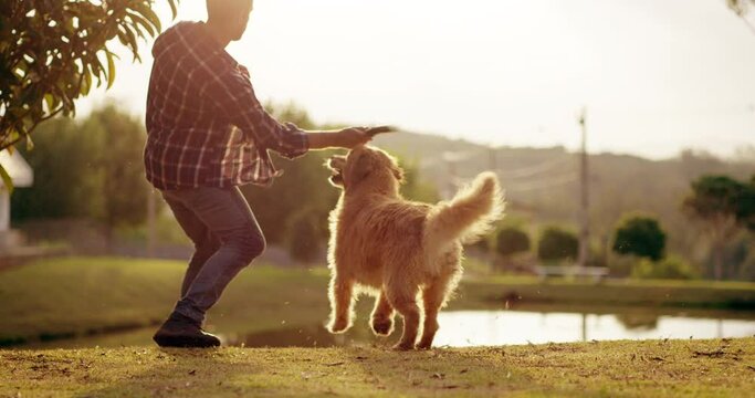 Park, fetch and a man playing with his dog outdoor together in nature for freedom or bonding in summer. Friends, lake and a male owner having fun with his pet outside on a grass field by the water