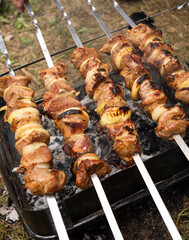 Close Up Cooking Meat Barbecue On The Coal In Camping Park, Forest. Meat , Onion Rings Strung On Skewers. No Waste Healthy Eating Picnic In Summer, Spring Time. Vertical Plane.