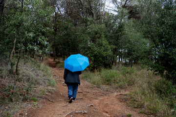 woman on her back walking away through the forest on a rainy day, dressed in blue with an electric blue umbrella on a wet day.