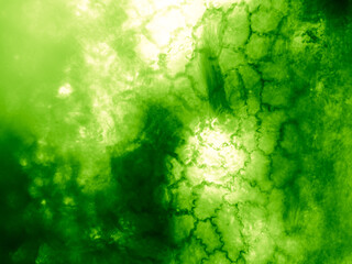 River water plants and algae texture seen in microscope