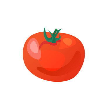 fresh tomato. vector illustration on a white background. suitable for the design of menus, brochures, flyers of restaurants and cafes