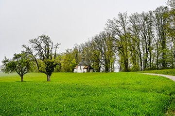 Obraz premium Mariastein, Kapelle, St. Anna-Kapelle, Kloster, Kloster Mariastein, Wallfahrt, Dorf, Wanderweg, Landwirtschaft, Felder, Frühling, Morgennebel, Schweiz