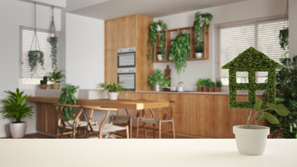 White table top or shelf with green plant in pot shaped like house, sustainable dining and kitchen background, interior design, urban jungle, eco architecture concept idea