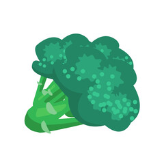 Vector illustration of broccoli Isolated On A White Background. Healthy organic food, fresh green vegetable in cartoon flat style.