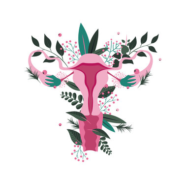 Vector illustration female reproductive system fantasy with flowers and botanical elements