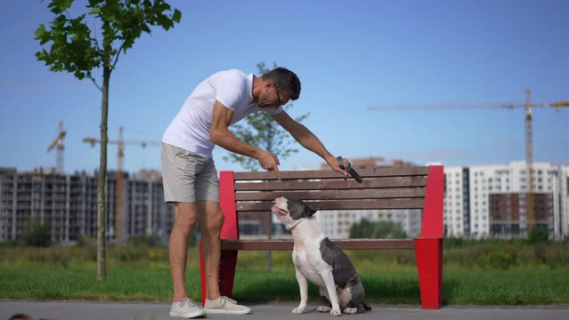 Caucasian man yelling at dog gesturing in slow motion standing at bench on alley. Wide shot side view portrait of dissatisfied owner scolding pet outdoors on spring summer day