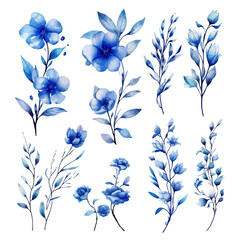 Set of blue floral watecolor. flowers and leaves. Floral poster, invitation floral. Vector arrangements for greeting card or invitation design