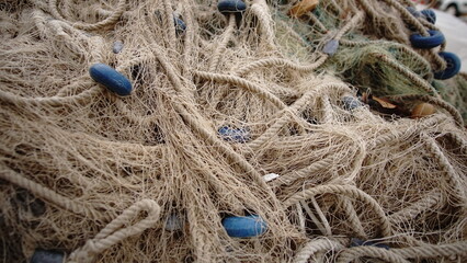 tangled network as a background