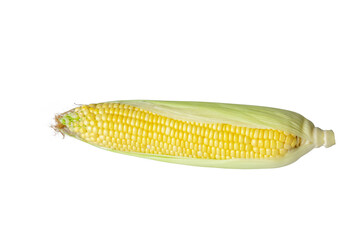 Single ear of corn isolated on transparent background as package design element, PNG File