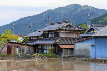 Traditional Japanese wooden house by flooded rice field in small town