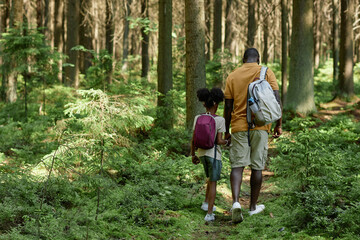 Naklejka na ściany i meble Rear view of dad with child with backpacks walking along the forest during their hiking