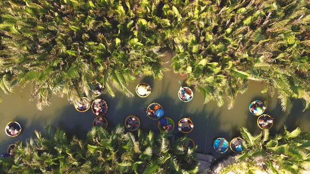 Aerial view of a coconut village basket boat tour. Palms forest in Hoi An, Cam Thanh, Vietnam. Tourists having an excursion and fun in Thu Bon river