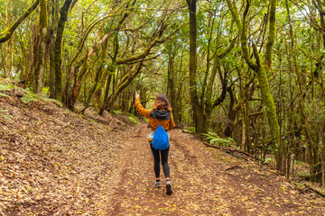 Woman walking on trail in mossy tree forest of Garajonay National Park, La Gomera, Canary Islands
