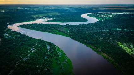 Foto op Plexiglas aerial view of pantanal wetland Brazil with jungle forest stream river at sunset  © Michele