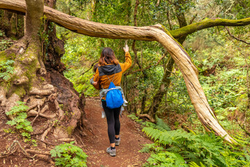 Naklejka na ściany i meble Woman walking with her son on the path in the mossy tree forest of Garajonay National Park, La Gomera, Canary Islands. On the excursion to Las Creces