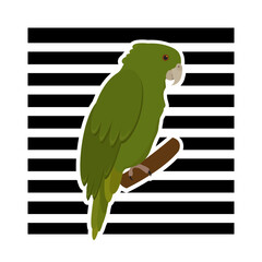 Cute parrot on a white background with black stripes. For T-shirt, postcard, web banner. Vector illustration in flat design.